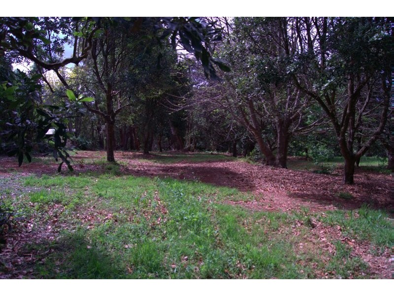 76 to 78 Benowa St, Tamborine Mountain QLD 4272