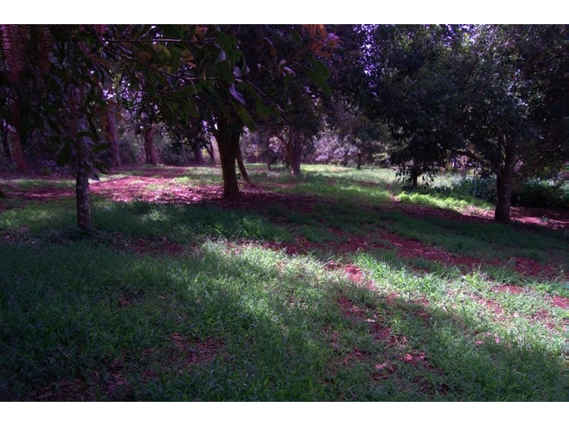 76 to 78 Benowa St, Tamborine Mountain QLD 4272