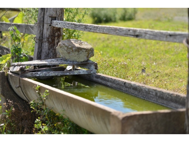 1568 Beechmont Rd, Beechmont QLD 4211