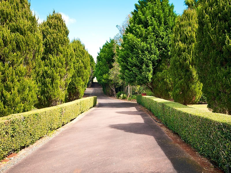 116 Long Road, Tamborine Mountain QLD 4272