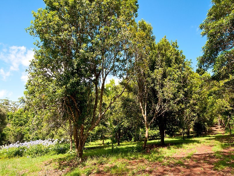 658 to 660 Main Western, Tamborine Mountain QLD 4272