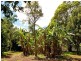 658 to 660 Main Western, Tamborine Mountain QLD 4272