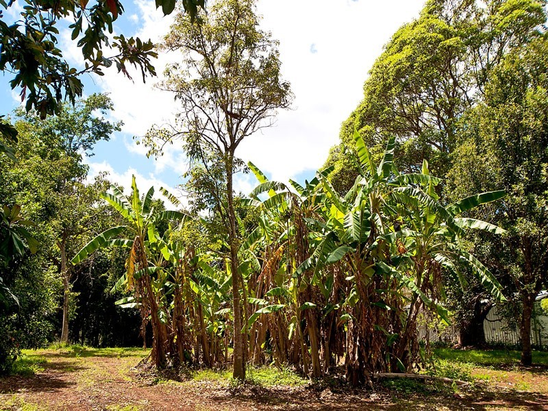 658 to 660 Main Western, Tamborine Mountain QLD 4272
