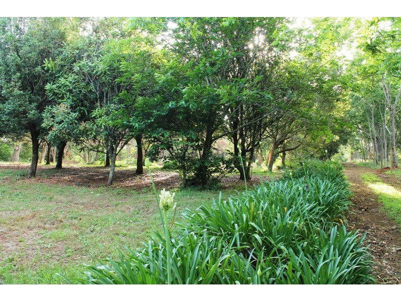 658 to 660 Main Western, Tamborine Mountain QLD 4272