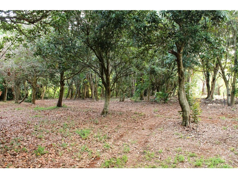 658 to 660 Main Western, Tamborine Mountain QLD 4272
