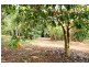 658 to 660 Main Western, Tamborine Mountain QLD 4272