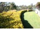 29 Tolima Drive, Tamborine Mountain QLD 4272