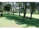 31 Jenyns Rd, Tamborine Mountain QLD 4272