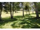 31 Jenyns Rd, Tamborine Mountain QLD 4272