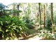 Tamborine Mountain QLD 4272