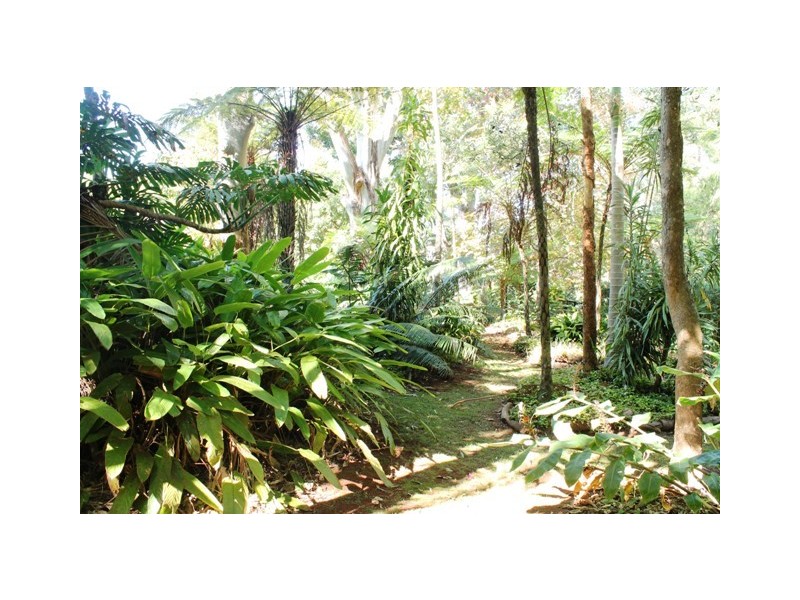 Tamborine Mountain QLD 4272