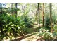 Tamborine Mountain QLD 4272