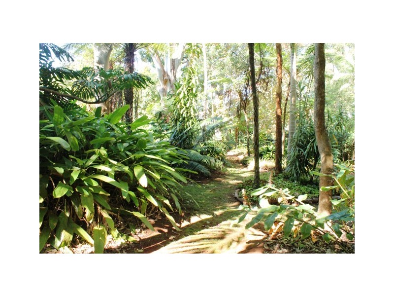 Tamborine Mountain QLD 4272
