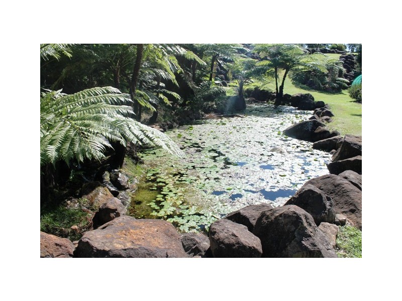 21 St James Ct, Tamborine Mountain QLD 4272