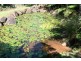 21 St James Ct, Tamborine Mountain QLD 4272