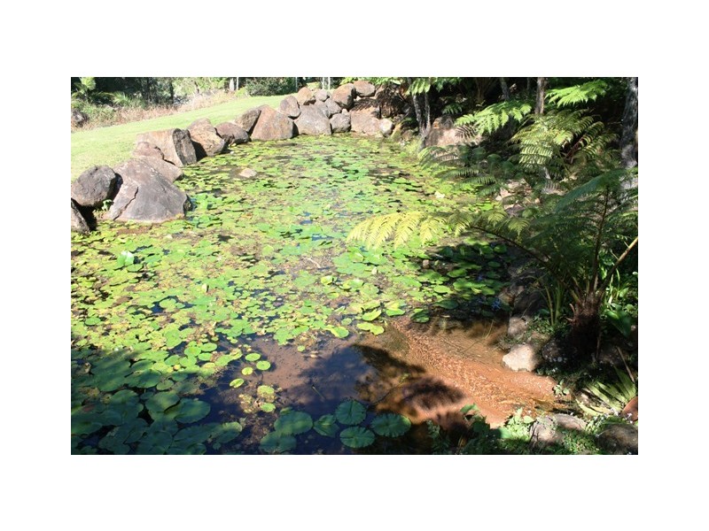 21 St James Ct, Tamborine Mountain QLD 4272