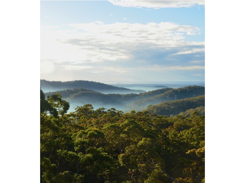 1525 Tamborine Oxenford Rd, Wongawallan QLD 4210