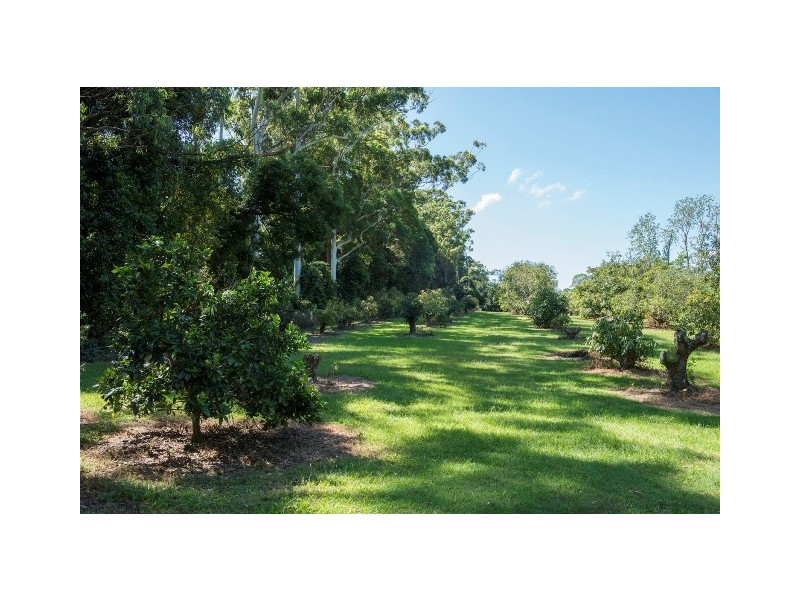 103 Beacon Road, Tamborine Mountain QLD 4272