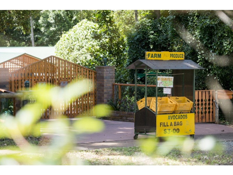 103 Beacon Road, Tamborine Mountain QLD 4272