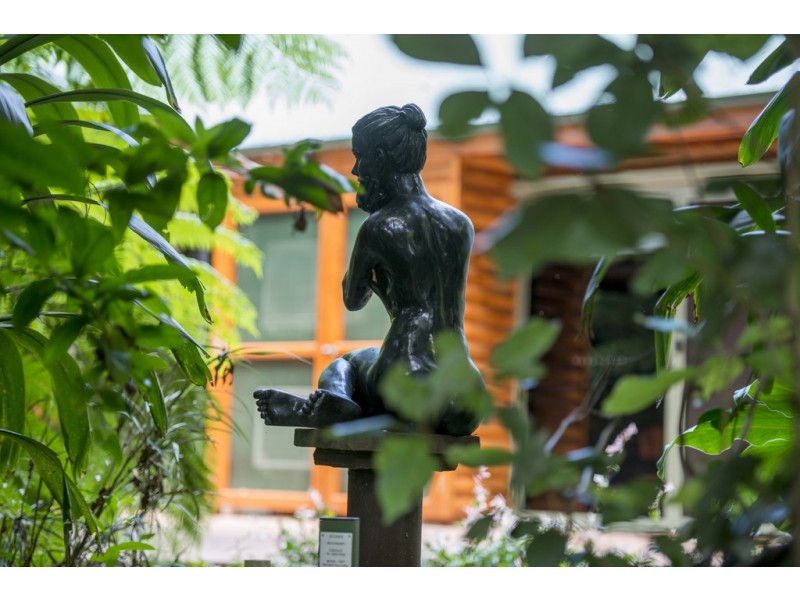 103 Beacon Road, Tamborine Mountain QLD 4272