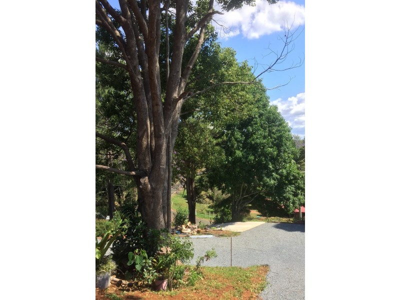 72 Pacific Parade, Tamborine Mountain QLD 4272