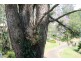 72 Pacific Parade, Tamborine Mountain QLD 4272