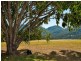 Lot 10 1282 Tamborine Oxenford Rd, Wongawallan QLD 4210