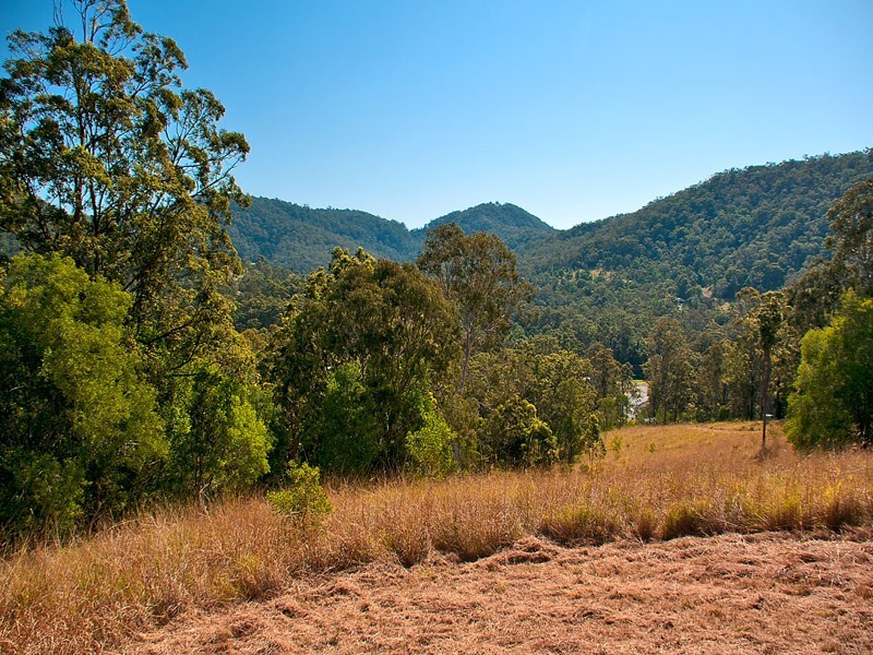 Lot11 SP171929 Tamborine Oxenford Rd, Wongawallan QLD 4210