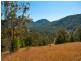 Lot11 SP171929 Tamborine Oxenford Rd, Wongawallan QLD 4210