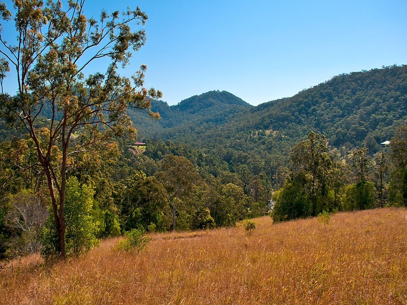Lot11 SP171929 Tamborine Oxenford Rd, Wongawallan QLD 4210