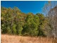 Lot11 SP171929 Tamborine Oxenford Rd, Wongawallan QLD 4210