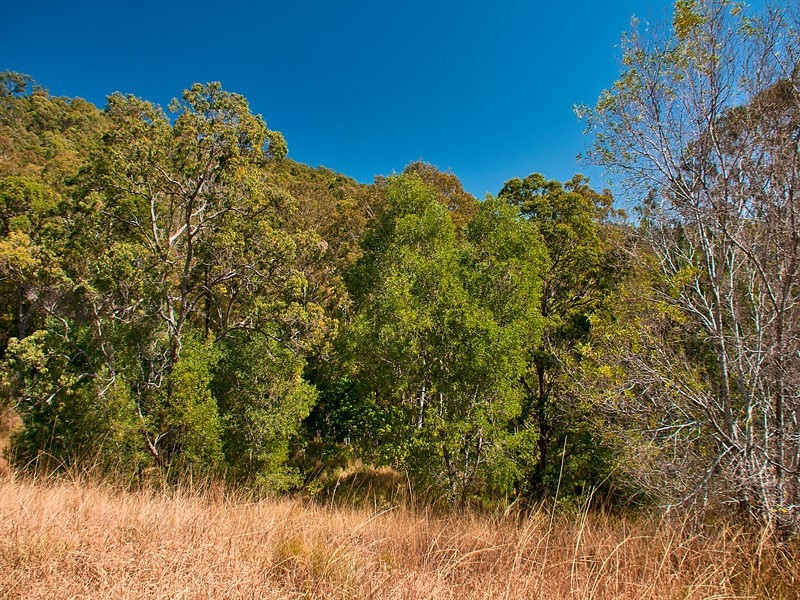 Lot11 SP171929 Tamborine Oxenford Rd, Wongawallan QLD 4210
