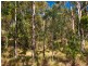 Lot11 SP171929 Tamborine Oxenford Rd, Wongawallan QLD 4210