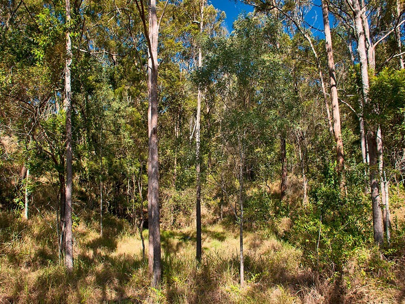 Lot11 SP171929 Tamborine Oxenford Rd, Wongawallan QLD 4210
