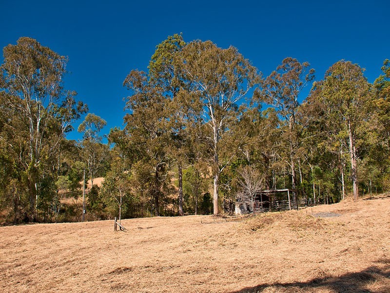 Lot11 SP171929 Tamborine Oxenford Rd, Wongawallan QLD 4210