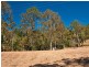 Lot11 SP171929 Tamborine Oxenford Rd, Wongawallan QLD 4210