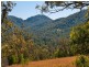 Lot11 SP171929 Tamborine Oxenford Rd, Wongawallan QLD 4210