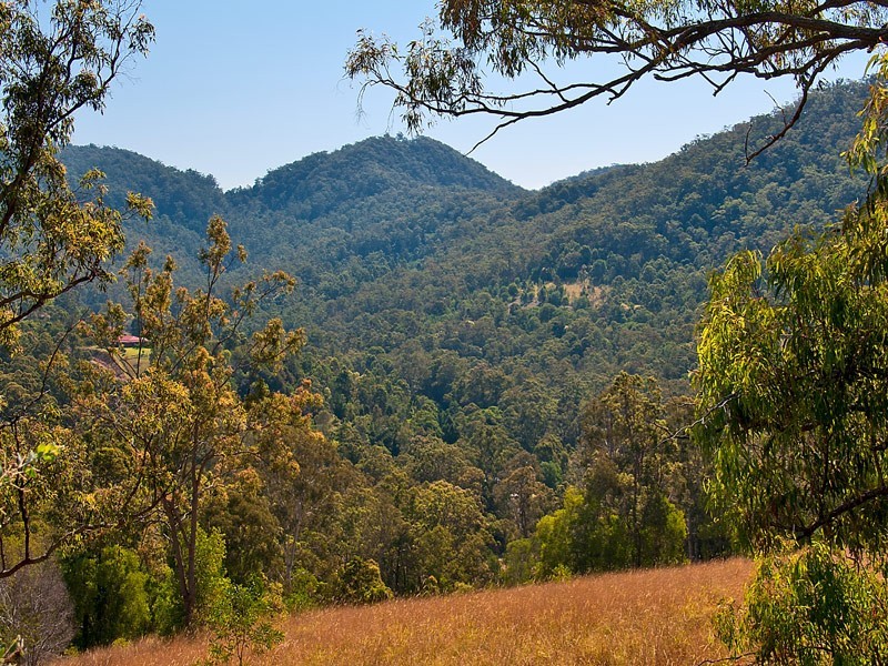 Lot11 SP171929 Tamborine Oxenford Rd, Wongawallan QLD 4210