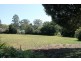 Tamborine Mountain QLD 4272