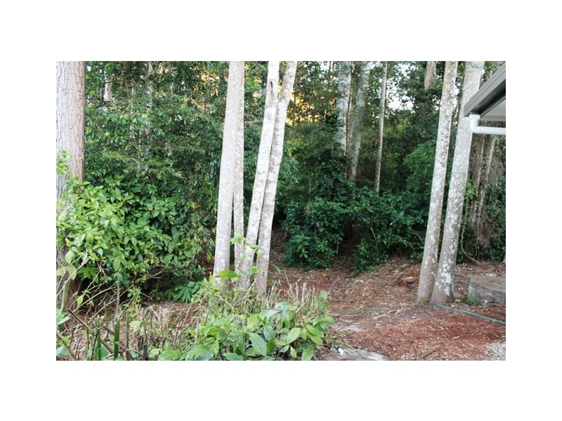 Tamborine Mountain QLD 4272