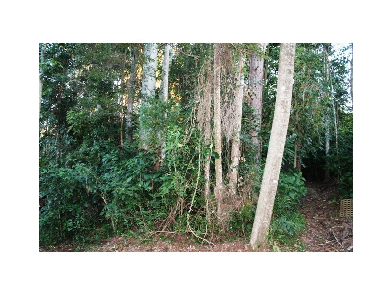 Tamborine Mountain QLD 4272