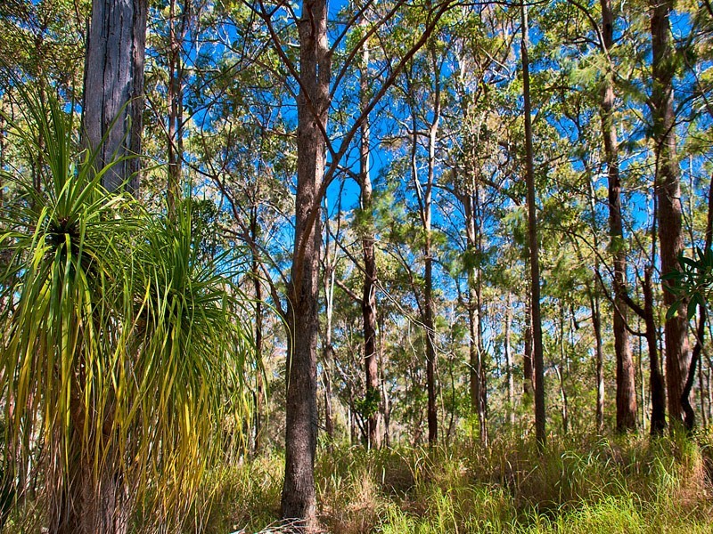 1594 Tamborine Oxenford Road, Wongawallan QLD 4210