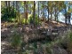 1594 Tamborine Oxenford Road, Wongawallan QLD 4210