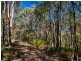 1594 Tamborine Oxenford Road, Wongawallan QLD 4210