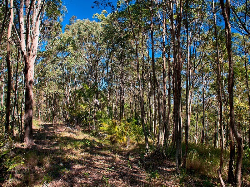 1594 Tamborine Oxenford Road, Wongawallan QLD 4210