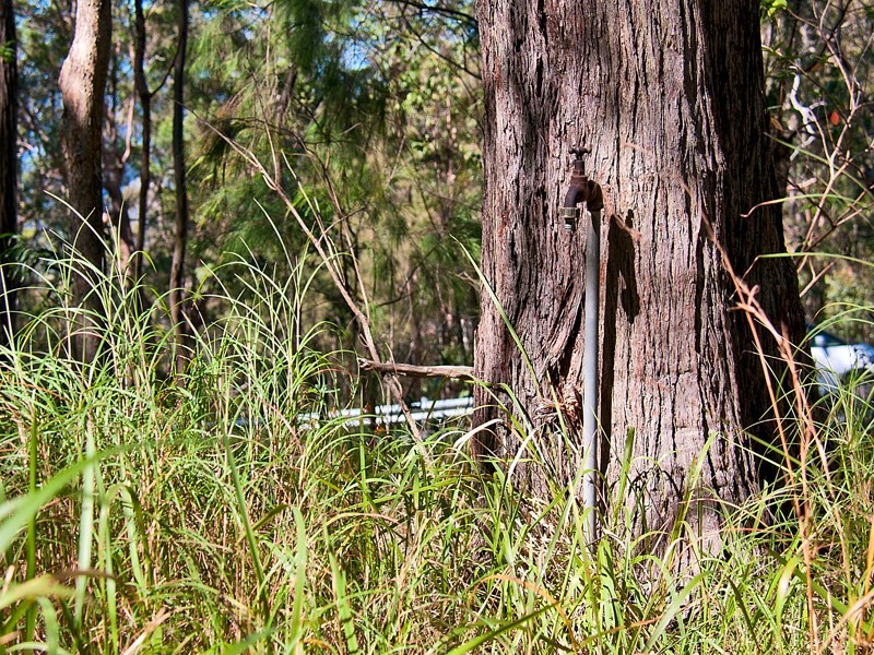 1594 Tamborine Oxenford Road, Wongawallan QLD 4210