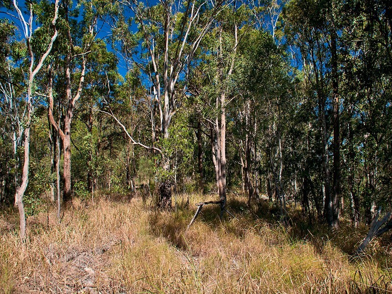1594 Tamborine Oxenford Road, Wongawallan QLD 4210