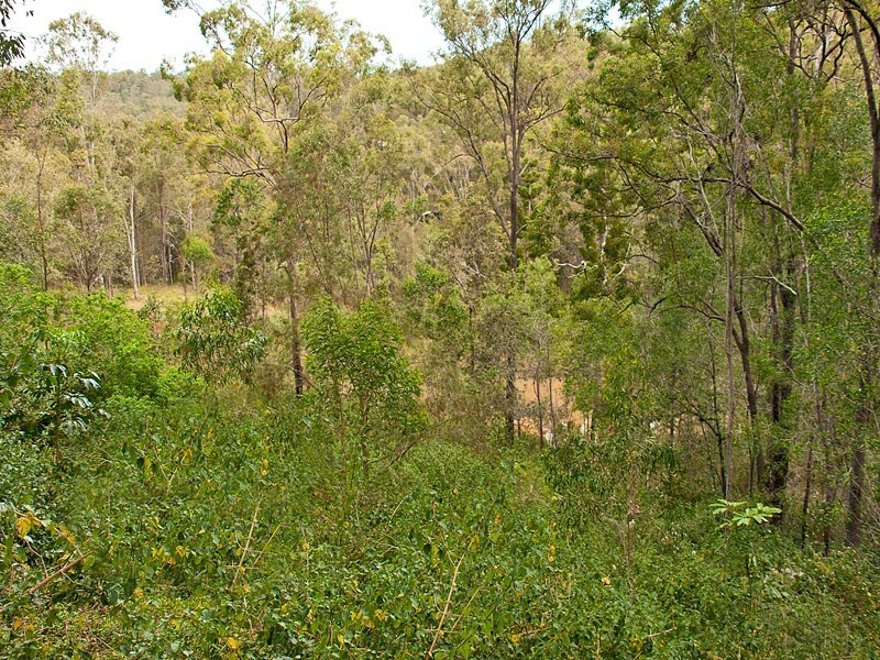 16-18 Nolan Court, Tamborine QLD 4270