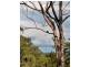 16-18 Nolan Court, Tamborine QLD 4270