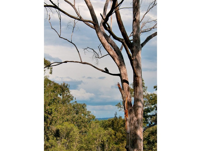 16-18 Nolan Court, Tamborine QLD 4270